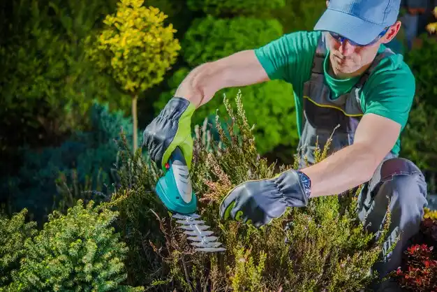 landscaping services Watson